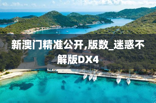 新澳门精准公开,版数_迷惑不解版DX4