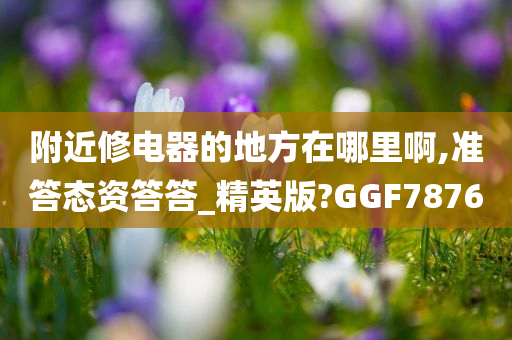 附近修电器的地方在哪里啊,准答态资答答_精英版?GGF7876