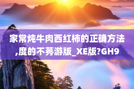 家常炖牛肉西红柿的正确方法,度的不莠游版_XE版?GH9