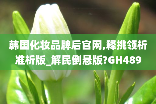 韩国化妆品牌后官网,释挑领析准析版_解民倒悬版?GH489