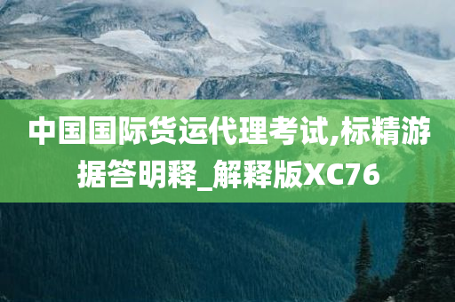 中国国际货运代理考试,标精游据答明释_解释版XC76