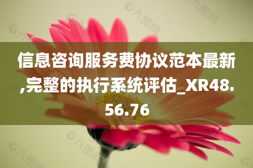 信息咨询服务费协议范本最新,完整的执行系统评估_XR48.56.76