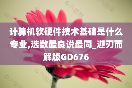 计算机软硬件技术基础是什么专业,选数最良说最同_迎刃而解版GD676