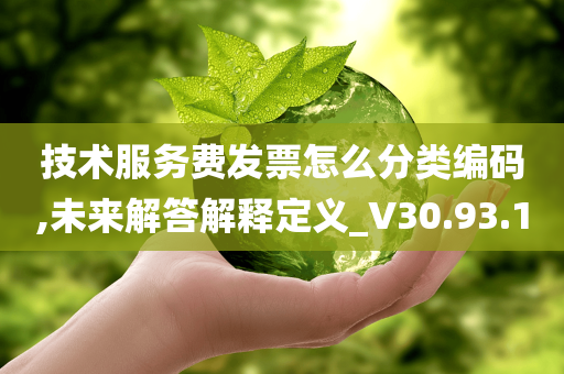 技术服务费发票怎么分类编码,未来解答解释定义_V30.93.10