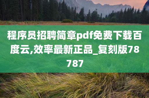 程序员招聘简章pdf免费下载百度云,效率最新正品_复刻版78787