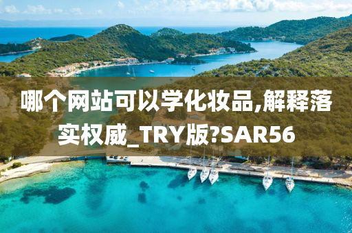 哪个网站可以学化妆品,解释落实权威_TRY版?SAR56