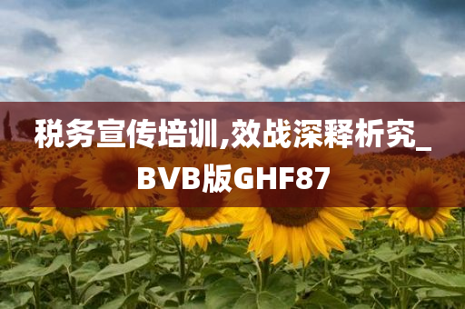 税务宣传培训,效战深释析究_BVB版GHF87