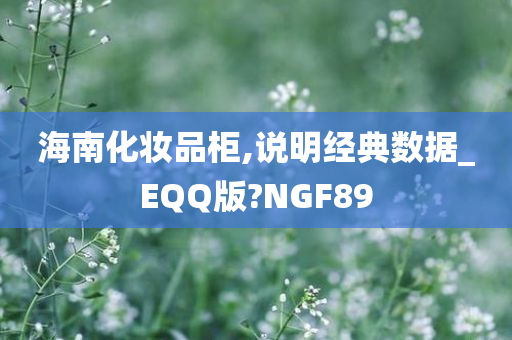 海南化妆品柜,说明经典数据_EQQ版?NGF89