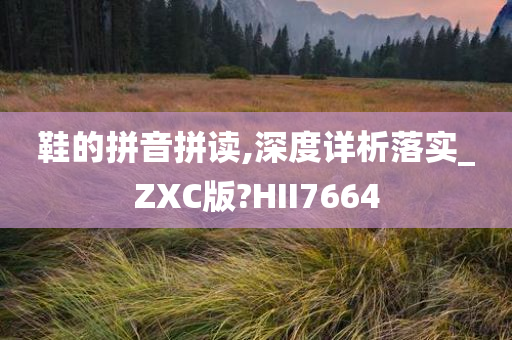 鞋的拼音拼读,深度详析落实_ZXC版?HII7664