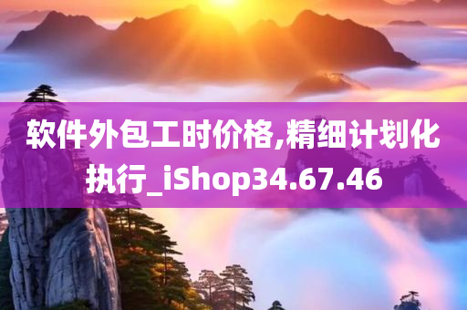 软件外包工时价格,精细计划化执行_iShop34.67.46