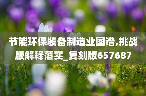 节能环保装备制造业图谱,挑战版解释落实_复刻版657687