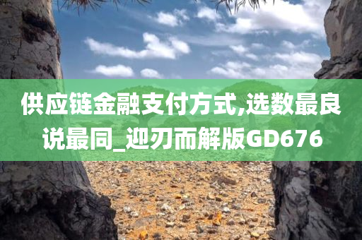 供应链金融支付方式,选数最良说最同_迎刃而解版GD676