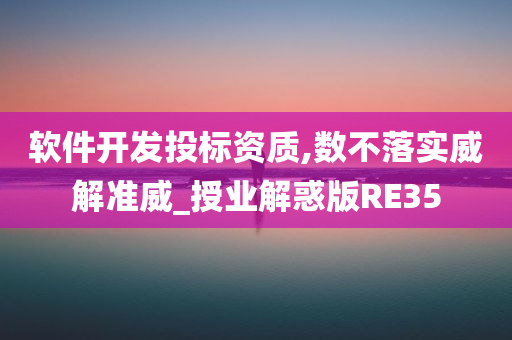 软件开发投标资质,数不落实威解准威_授业解惑版RE35