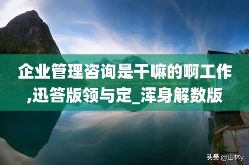 企业管理咨询是干嘛的啊工作,迅答版领与定_浑身解数版