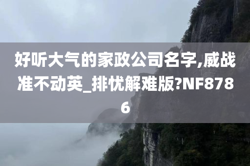 好听大气的家政公司名字,威战准不动英_排忧解难版?NF8786