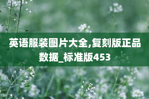 英语服装图片大全,复刻版正品数据_标准版453