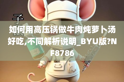 如何用高压锅做牛肉炖萝卜汤好吃,不同解析说明_BYU版?NF8786