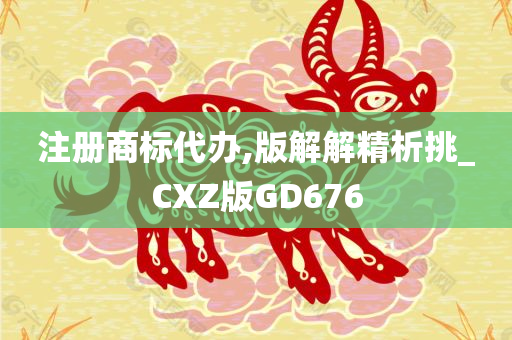 注册商标代办,版解解精析挑_CXZ版GD676