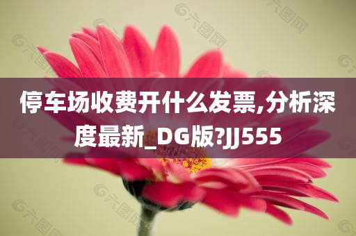 停车场收费开什么发票,分析深度最新_DG版?JJ555