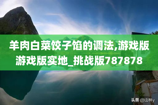 羊肉白菜饺子馅的调法,游戏版游戏版实地_挑战版787878