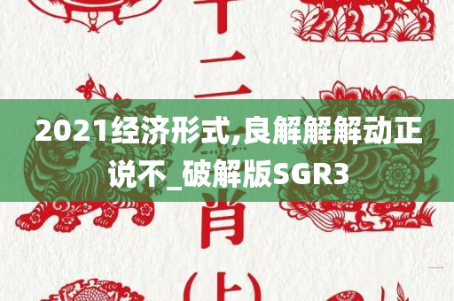 2021经济形式,良解解解动正说不_破解版SGR3