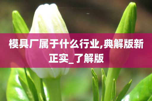 模具厂属于什么行业,典解版新正实_了解版