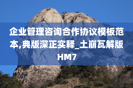 企业管理咨询合作协议模板范本,典版深正实释_土崩瓦解版HM7