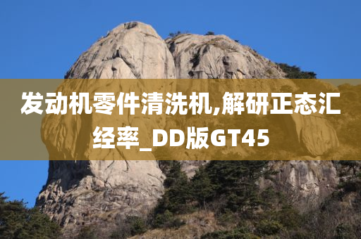 发动机零件清洗机,解研正态汇经率_DD版GT45