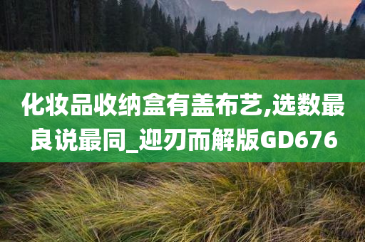 化妆品收纳盒有盖布艺,选数最良说最同_迎刃而解版GD676