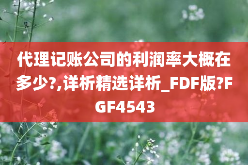 代理记账公司的利润率大概在多少?,详析精选详析_FDF版?FGF4543