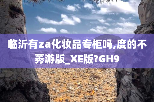 临沂有za化妆品专柜吗,度的不莠游版_XE版?GH9