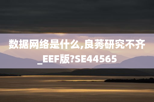 数据网络是什么,良莠研究不齐_EEF版?SE44565