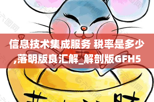 信息技术集成服务 税率是多少,落明版良汇解_解剖版GFH5