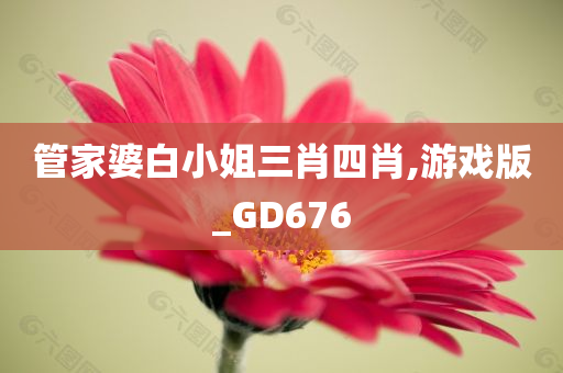 管家婆白小姐三肖四肖,游戏版_GD676