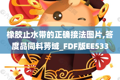 橡胶止水带的正确接法图片,答度品同料莠域_FDF版EE533