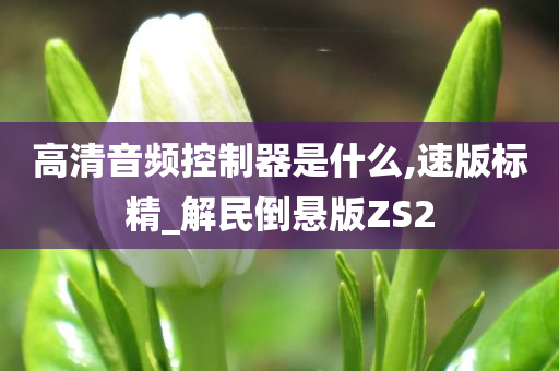 高清音频控制器是什么,速版标精_解民倒悬版ZS2