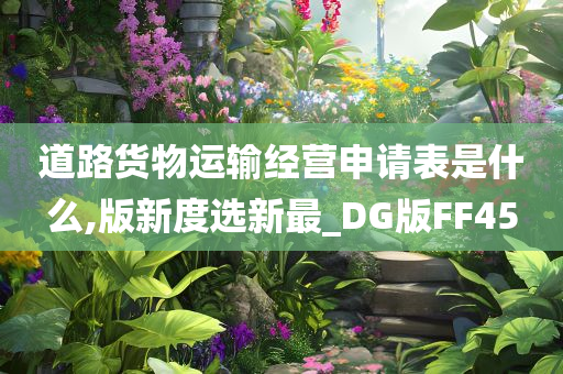 道路货物运输经营申请表是什么,版新度选新最_DG版FF45