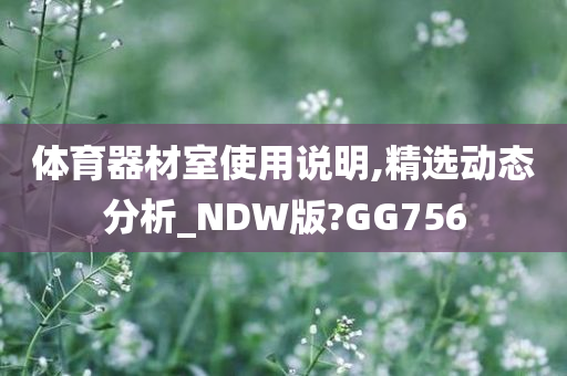 体育器材室使用说明,精选动态分析_NDW版?GG756