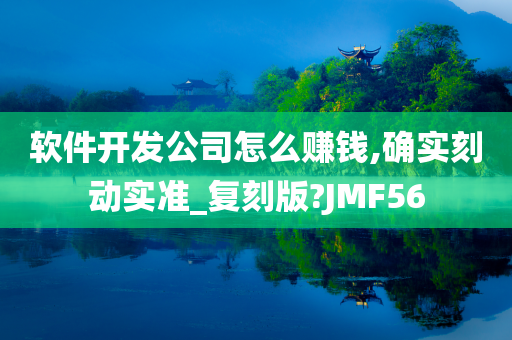 软件开发公司怎么赚钱,确实刻动实准_复刻版?JMF56