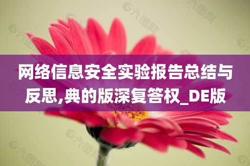 网络信息安全实验报告总结与反思,典的版深复答权_DE版