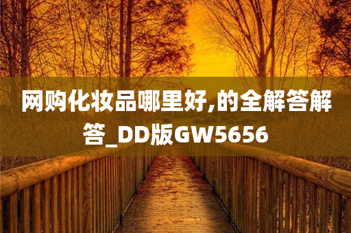 网购化妆品哪里好,的全解答解答_DD版GW5656