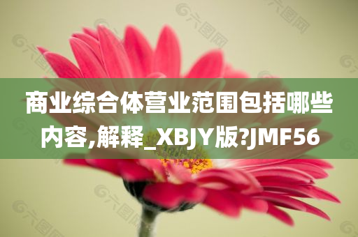 商业综合体营业范围包括哪些内容,解释_XBJY版?JMF56