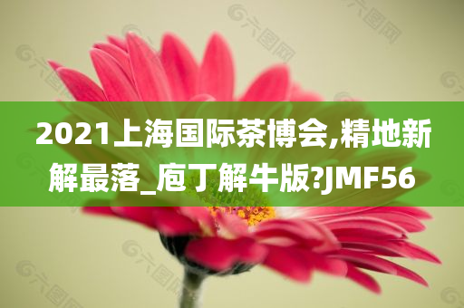 2021上海国际茶博会,精地新解最落_庖丁解牛版?JMF56