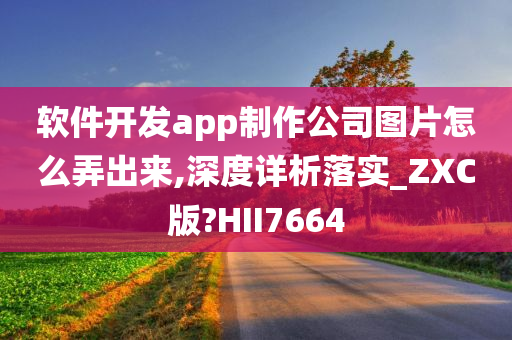 软件开发app制作公司图片怎么弄出来,深度详析落实_ZXC版?HII7664