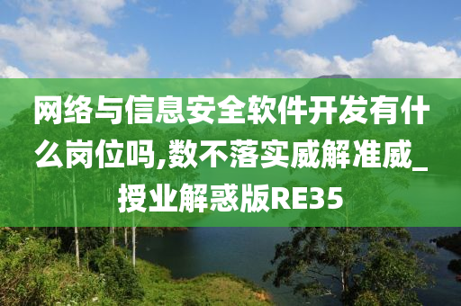 网络与信息安全软件开发有什么岗位吗,数不落实威解准威_授业解惑版RE35