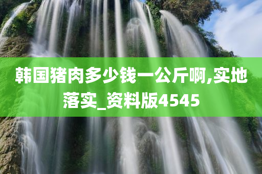 韩国猪肉多少钱一公斤啊,实地落实_资料版4545