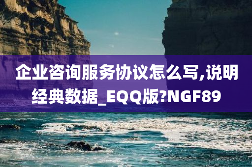 企业咨询服务协议怎么写,说明经典数据_EQQ版?NGF89