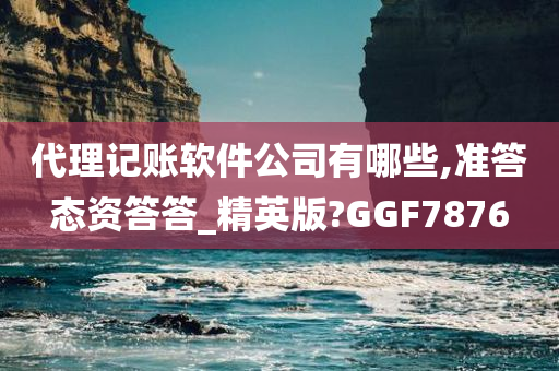 代理记账软件公司有哪些,准答态资答答_精英版?GGF7876