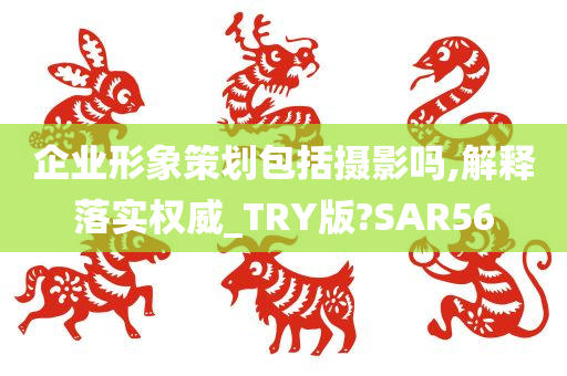 企业形象策划包括摄影吗,解释落实权威_TRY版?SAR56