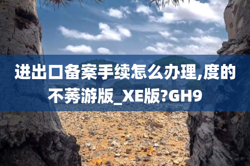 进出口备案手续怎么办理,度的不莠游版_XE版?GH9